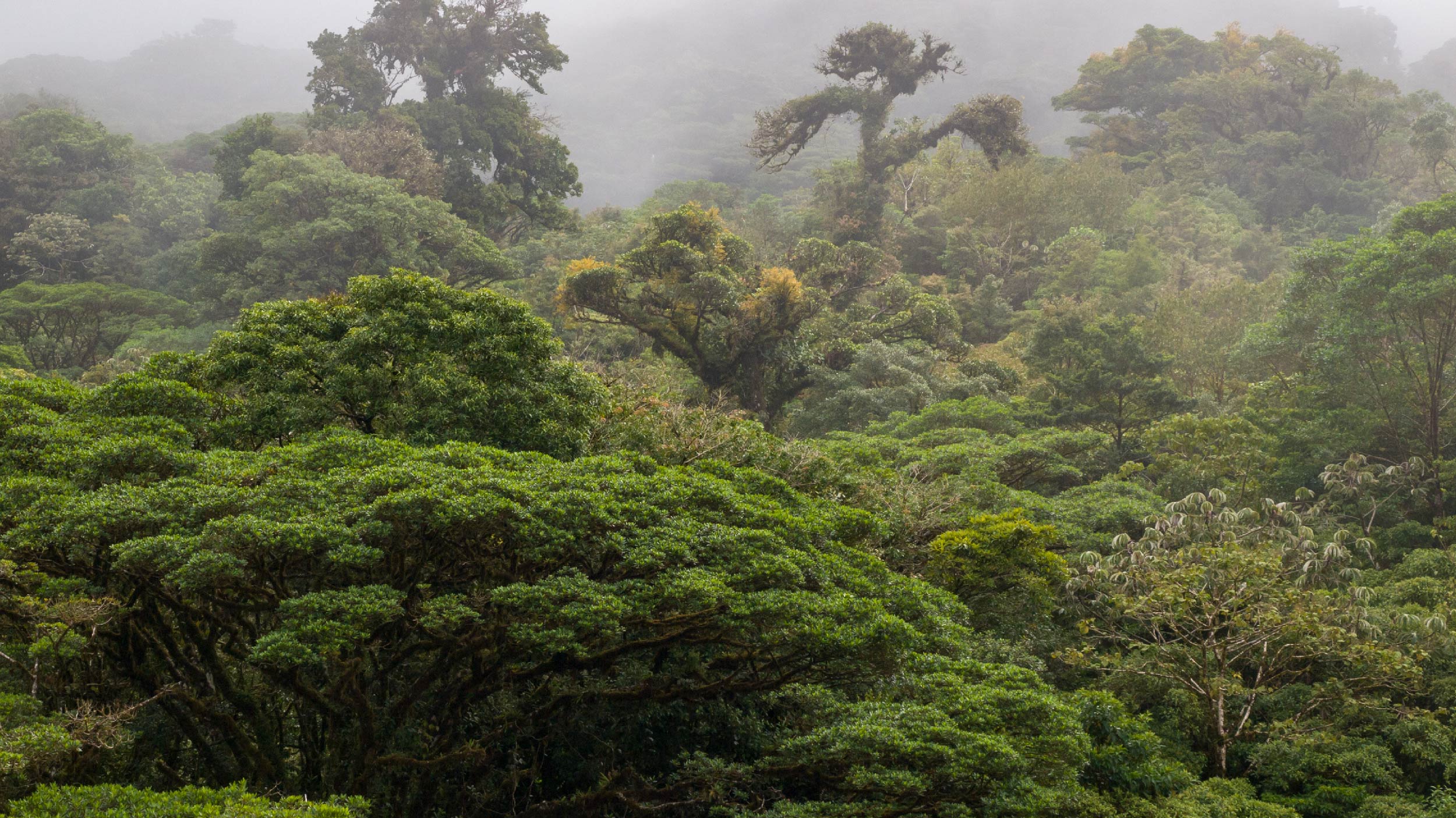 travelling to Monteverde in Costa Rica